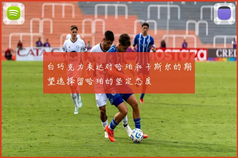 白巧克力表达对哈珀和卡斯尔的期望选择留哈珀的坚定态度