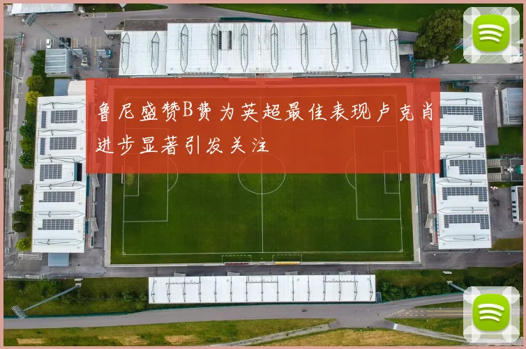 鲁尼盛赞B费为英超最佳表现卢克肖进步显著引发关注