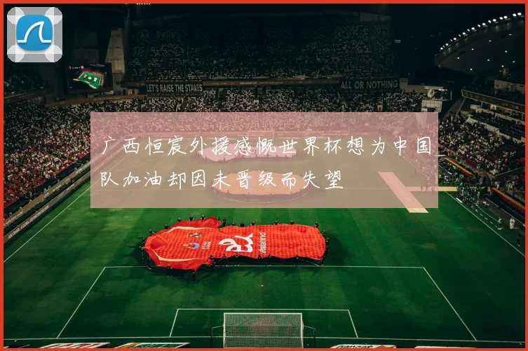 广西恒宸外援感慨世界杯想为中国队加油却因未晋级而失望