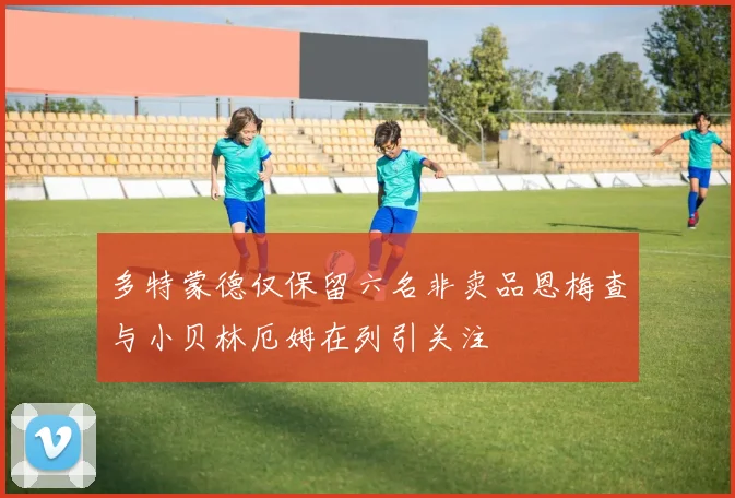 多特蒙德仅保留六名非卖品恩梅查与小贝林厄姆在列引关注