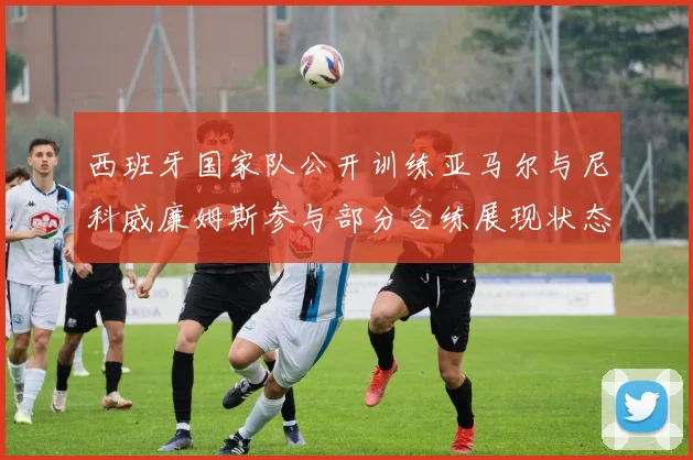 西班牙国家队公开训练亚马尔与尼科威廉姆斯参与部分合练展现状态